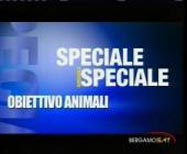 Bergamo SAT animali in diretta