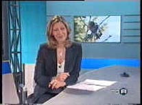 Rai 3 nido in diretta