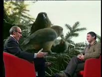 Video Star incontri ravvicinati