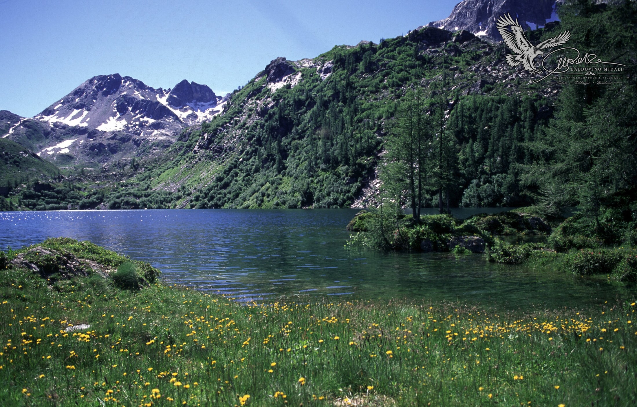 Veduta del Lago del Calvi in ambiente montano